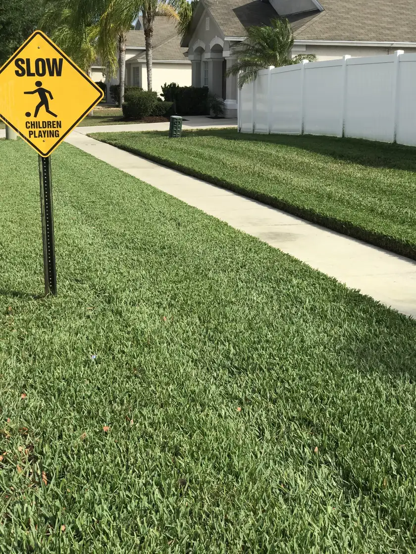 Striped front lawn with a clean sidewalk edge in a residential neighborhood